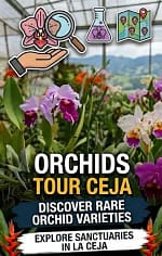 Visit the largest Orchids Collection in South America