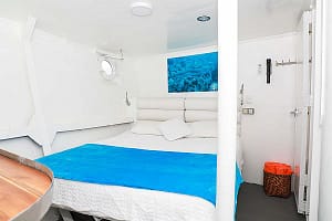 Queen Room – Ferox Liveaboard