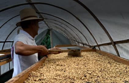 Coffee Tour Envigado Medellin Coffee tour Envigado Medellin