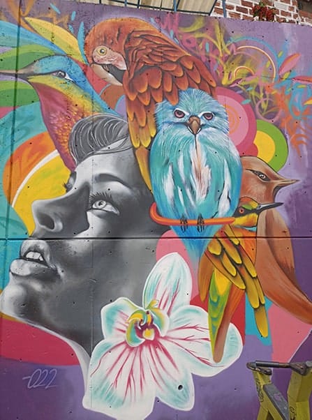 Tour Comuna 13 and Street Art