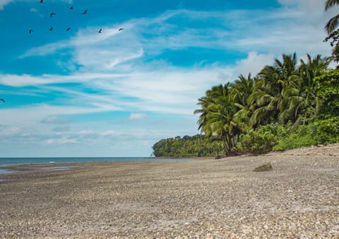 Gorgona island colombian Pacific Gorgona island colombian Pacific