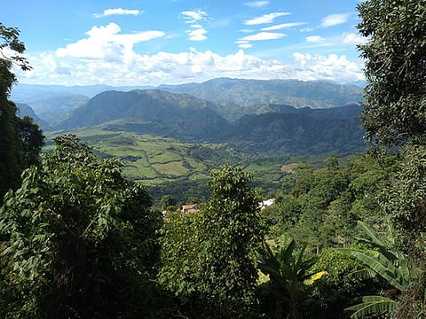 Lush forests and mountains South west Antioquia Lush forests and mountains South west Antioquia