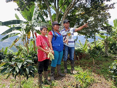 Tour with Embera Chami indigenous people Tour with Embera Chami indigenous people