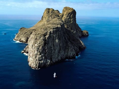SFF Malpelo island Colombia SFF Malpelo island Colombia