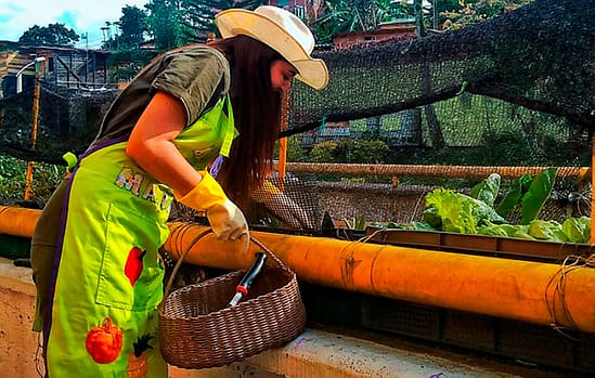 Creative experience urban garden Moravia comuna 14 Medellin