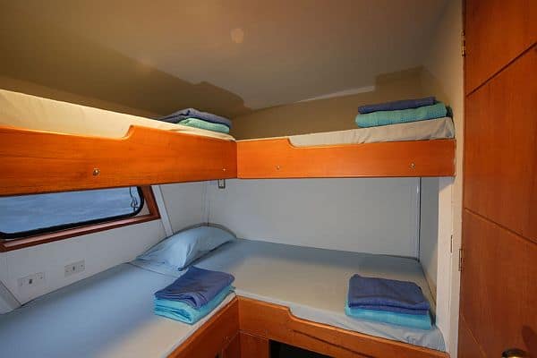 Multiple cabin on Sea Wolf Liveaboard
