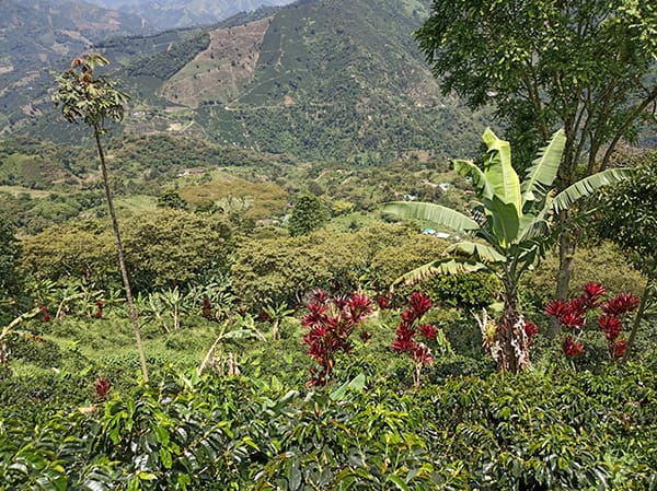 Hiking Jardin Landscapes