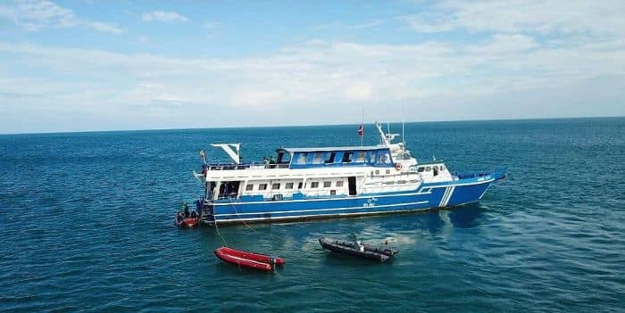 Malpelo island Dive Expeditions with Sea Wolf