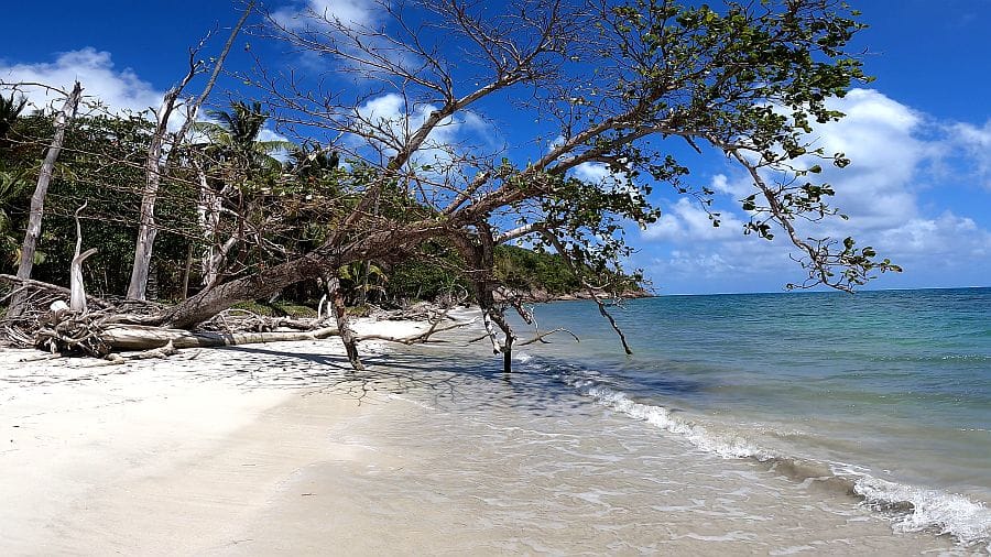 Manzanillo Beach on Providence island Colombia