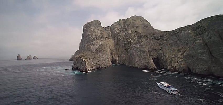SFF Île de Malpelo, Colombie